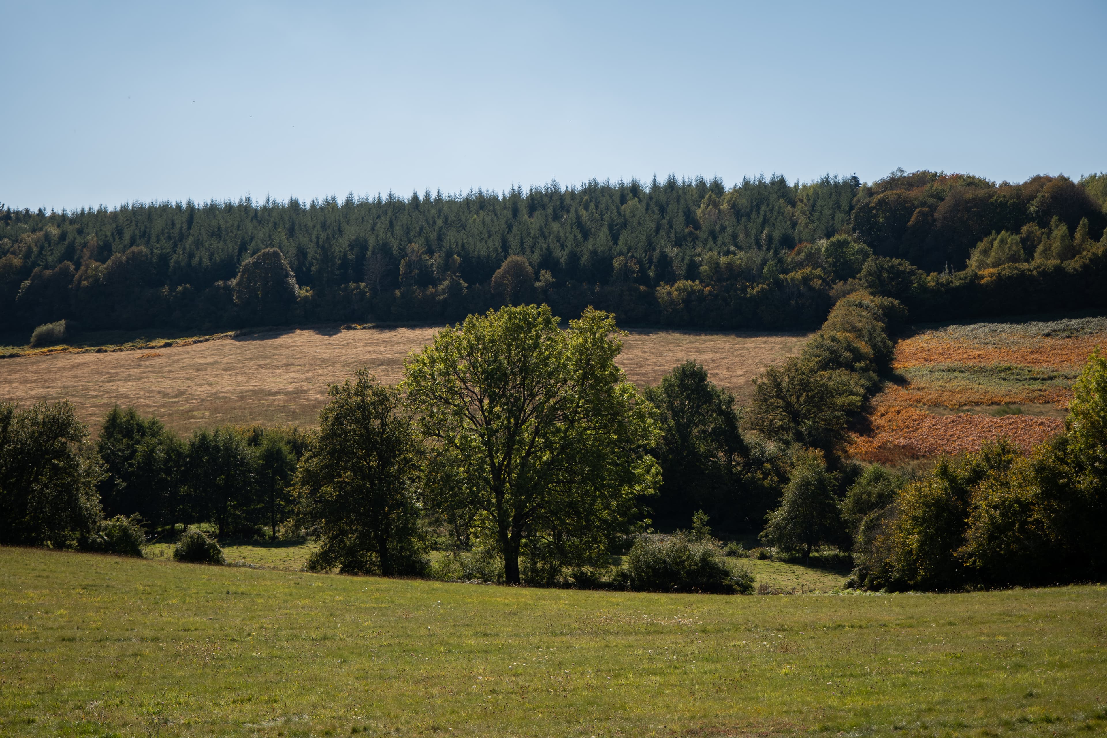 Het château van Pierrefite in het glooiende landschap met bossen en heuvels